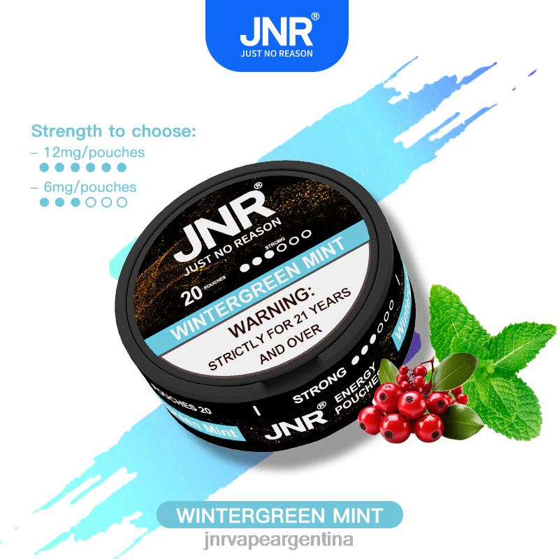 JNR Vape Shop | menta gaulteria bolsas de energía jnr R08PX106