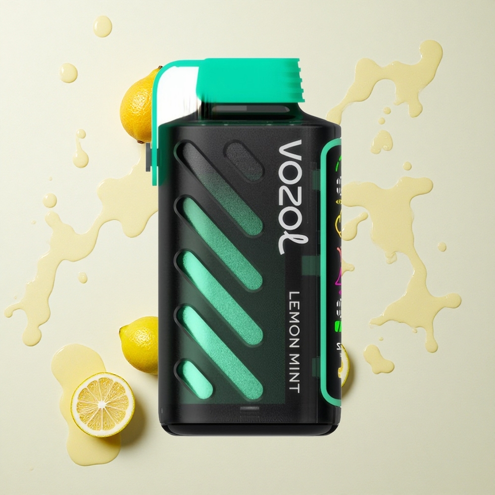 VOZOL Gear Power 20000 Menta Limón con Pantalla Completa y Doble Malla