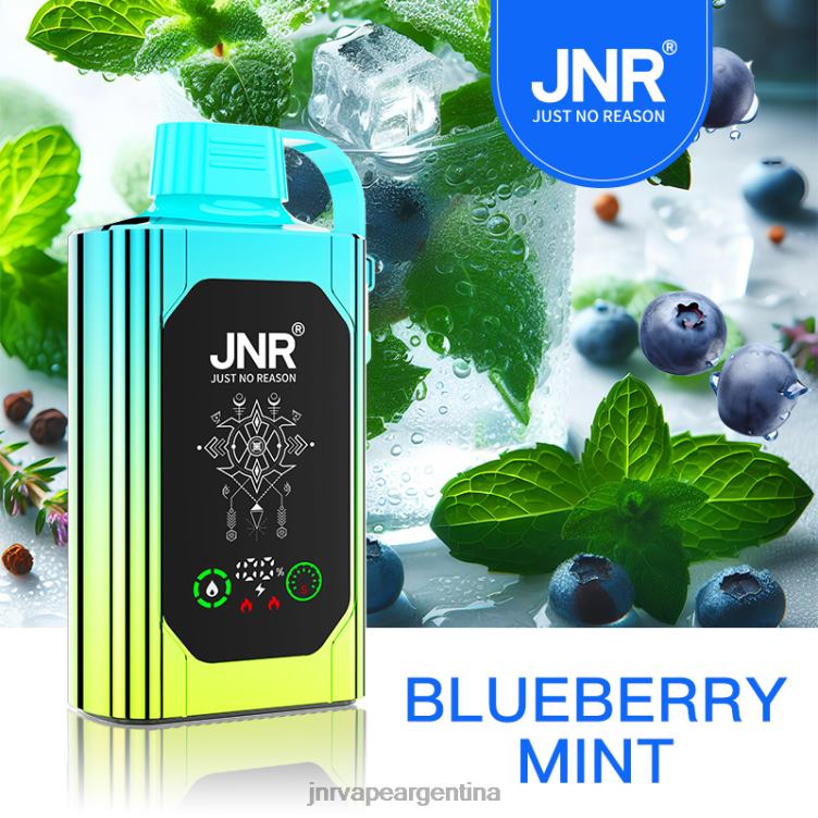 JNR SHISHA caja | JNR Vape Pods menta de arándanos F8NN088