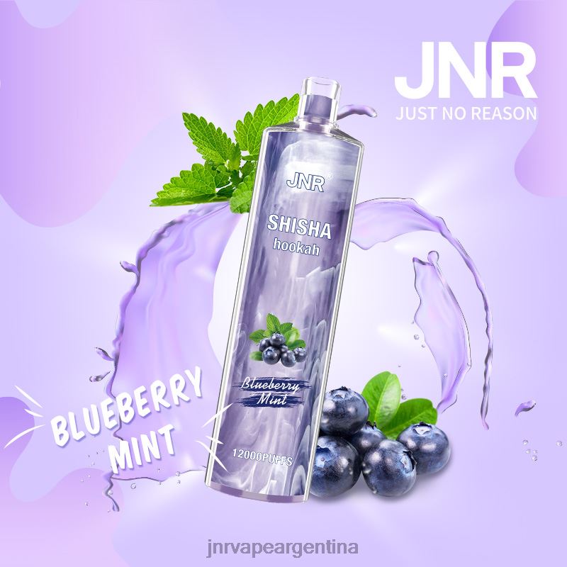 JNR Vape Argentina | menta de arándanos shisha jnr R08PX172
