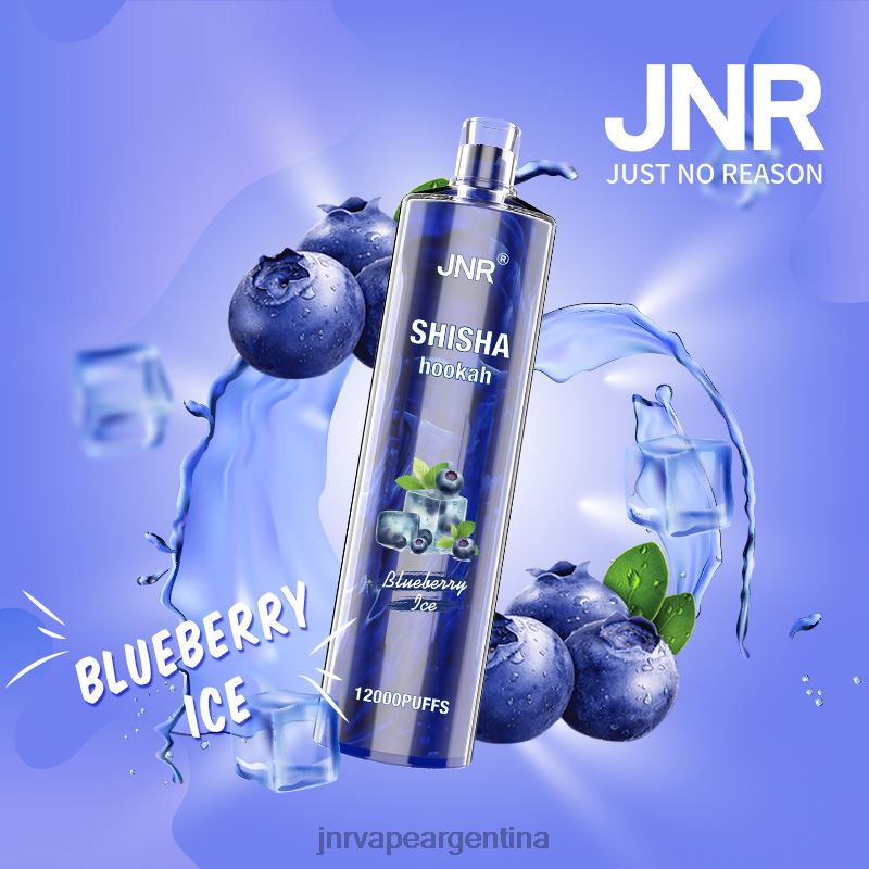 JNR Vape Price | hielo de arándanos shisha jnr R08PX161